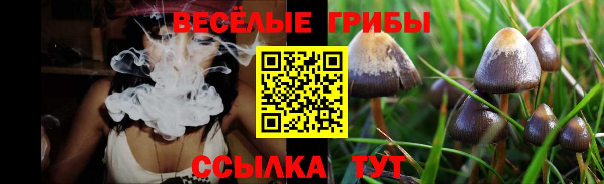 Зима  Галлюциногенные грибы GOLDEN TEACHER  Вход с VPN 